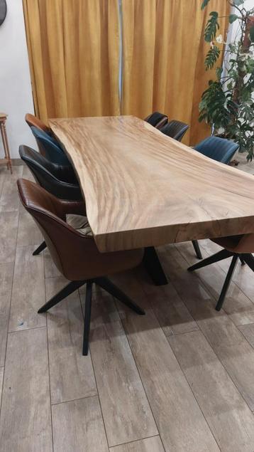 boomstamtafel beschikbaar voor biedingen