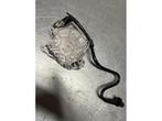 Vacuumpomp (Diesel) van een Volkswagen Golf, Gebruikt, -, Volkswagen, -