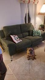 Zetel 2 persoons elektrisch. Kleur : groen, Huis en Inrichting, Ophalen, Zo goed als nieuw