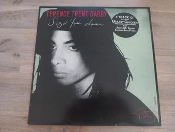 Vinyl 12" maxi single Terence Trent D'Arby Sign your name beschikbaar voor biedingen