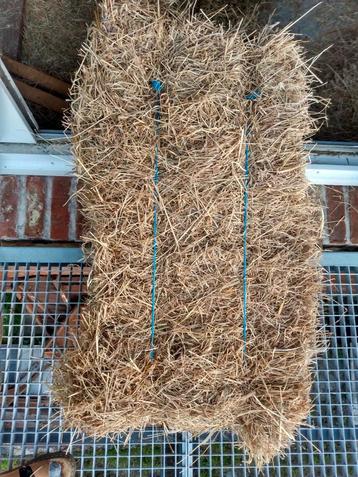 Hooi kleine balen.  beschikbaar voor biedingen