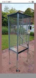 Vogelkooi, Ophalen of Verzenden, Zo goed als nieuw, Vogelkooi