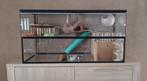 Groot gerbilarium - gerbils-hamsters-ratjes veel extra's, Dieren en Toebehoren, 75 tot 110 cm, Ophalen, Minder dan 60 cm, Muis