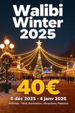 Tickets walibi a 40€, Tickets en Kaartjes, Eén persoon