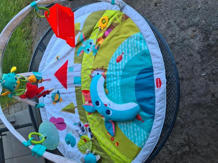 Speelmat Tiny Love, Kinderen en Baby's, Speelgoed | Speelkleden, Gebruikt, Ophalen