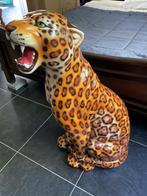 LUIPAARD (oranje), Antiek en Kunst, Ophalen