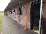 Unieke kans voor de ruiter met ambitie : manege in Achel, M
