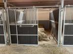 Stalwand paarden / voorwand paardenbox / 5stuks beschikbaar