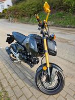 Honda MSX "Grom" 125cc - pot Akrapovic, 4 cylindres, Particulier, 125 cm³, Jusqu'à 11 kW