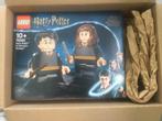Lego 76393 - Harry Potter & Hermelien - 26cm - NIEUW, Ophalen of Verzenden, Nieuw, Complete set, Lego