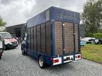 1996 Iveco paardenvrachtwagen, Auto's, Bestelwagens en Lichte vracht, Gebruikt, Iveco, Overige brandstoffen, Bedrijf