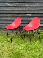 Set van twee “Shell” stoelen van Pierre Guariche, jaren 60., Ophalen, Gebruikt, Twee
