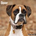 Calendrier Boxer 2017, Envoi, Calendrier annuel, Neuf