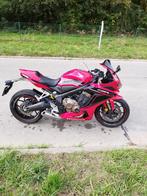 HONDA CBR 650 R, Motoren, Motoren | Honda, 4 cilinders, Meer dan 35 kW, 650 cc, Sport