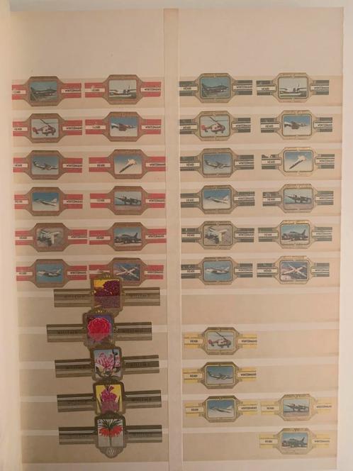 Verzameling van 420+ sigarenbandjes uit perlode 1950 - 1975, Verzamelen, Rookartikelen, Aanstekers en Luciferdoosjes, Gebruikt
