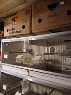 Waterslager, Dieren en Toebehoren