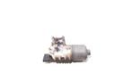 RUITENWISSERMOTOR VOOR Alfa Romeo 147 (937) (0390241514), Auto-onderdelen, Ruiten en Toebehoren, Gebruikt, Alfa Romeo