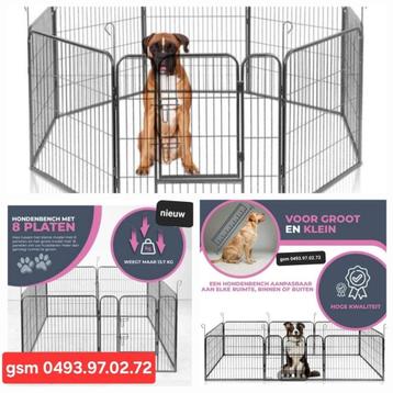 hondenren-puppyren NIEUW beschikbaar voor biedingen