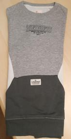 Trui, Kinderen en Baby's, Kinderkleding | Maat 164, Ophalen of Verzenden, Gebruikt, Vingio, Trui of Vest