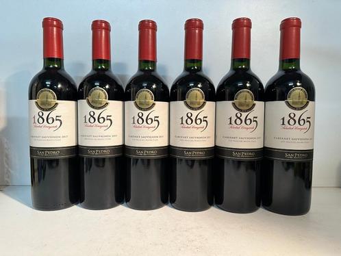 6 bouteilles 2017 Vina San Pedro 1865 Single Vineyard, Verzamelen, Wijnen, Ophalen