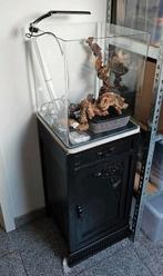 Dennerle nano cube 60L aquarium (new) + lamp + wrak hout, Dieren en Toebehoren, Ophalen