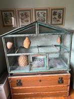 ancienne cage à oiseaux, Ophalen, Gebruikt, Hout, Vogelkooi