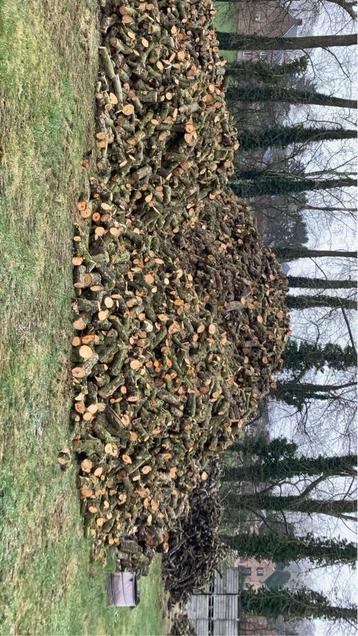 Appel/peren brandhout beschikbaar voor biedingen