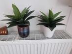 *Plantes artificielles en pots*, En pot, Enlèvement, Plante succulente, Moins de 100 cm