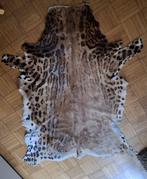 Dierenhuid, Verzenden, Gebruikt, Wild dier, Overige typen