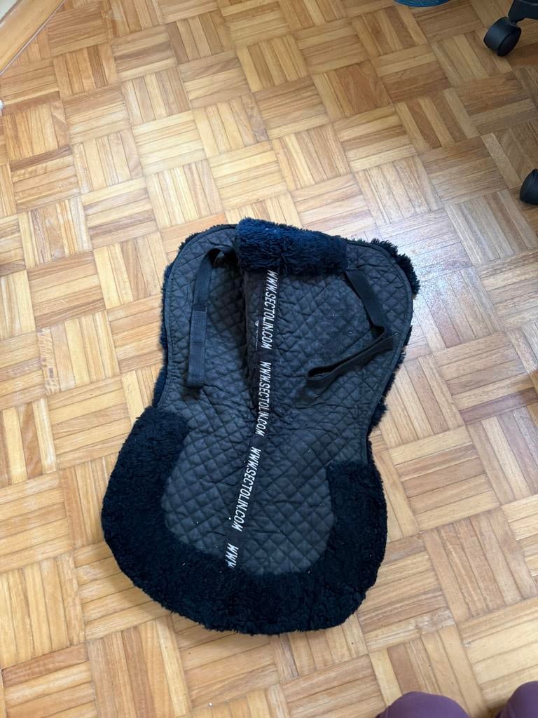 Zadelonderlegger bond, Dieren en Toebehoren, Ophalen, Gebruikt