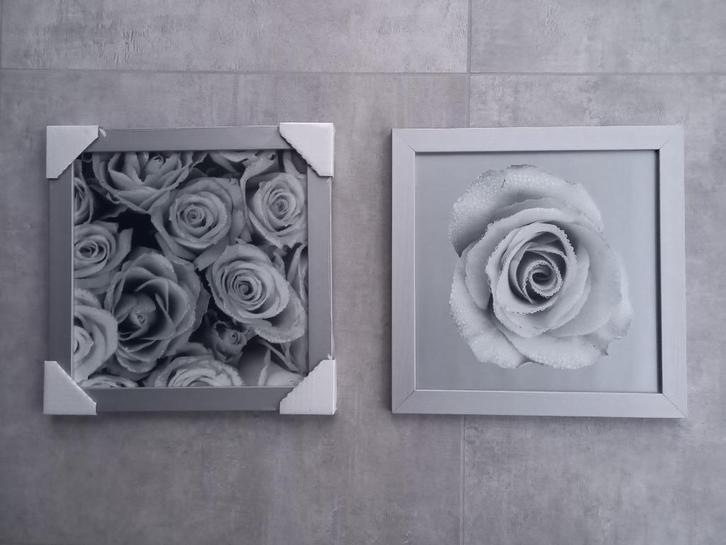 Foto roos in kader, Verzamelen, Foto's en Prenten, Nieuw, Foto, 1980 tot heden, Ophalen