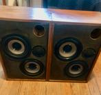 Enceinte CARAD / HP SCAN SPEAK, TV, Hi-fi & Vidéo, Enlèvement, Comme neuf