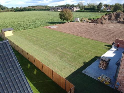 pelouse en rouleaux - devis gratuit, Tuin en Terras, Gras en Kunstgras, Nieuw, Gras, 20 m² of meer, Ophalen