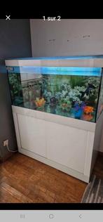Aquarium, Ophalen, Zo goed als nieuw