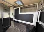 RENAULT MASTER 2.3L | STX | 2016 | HENGST | PAARDENWAGEN, Ophalen, Gebruikt, Overige materialen, Overige typen