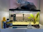 Aquarium vissen en extra toebehoren, Dieren en Toebehoren, Ophalen, Zo goed als nieuw
