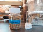 Mieren voederbak+grasmix, Dieren en Toebehoren, Mieren