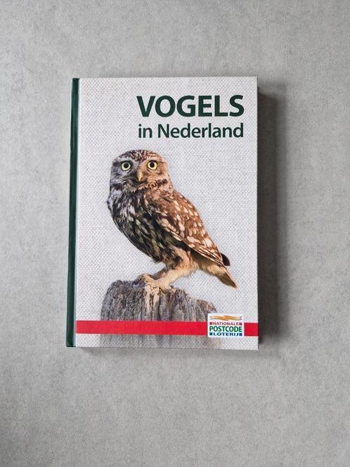 Vogels in Nederland - Jonathan Elphick / John Woodward, Livres, Animaux & Animaux domestiques, Oiseaux, Enlèvement ou Envoi