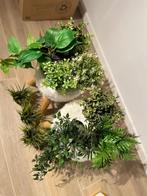 10 kunstplanten te koop, Enlèvement, Comme neuf, Intérieur