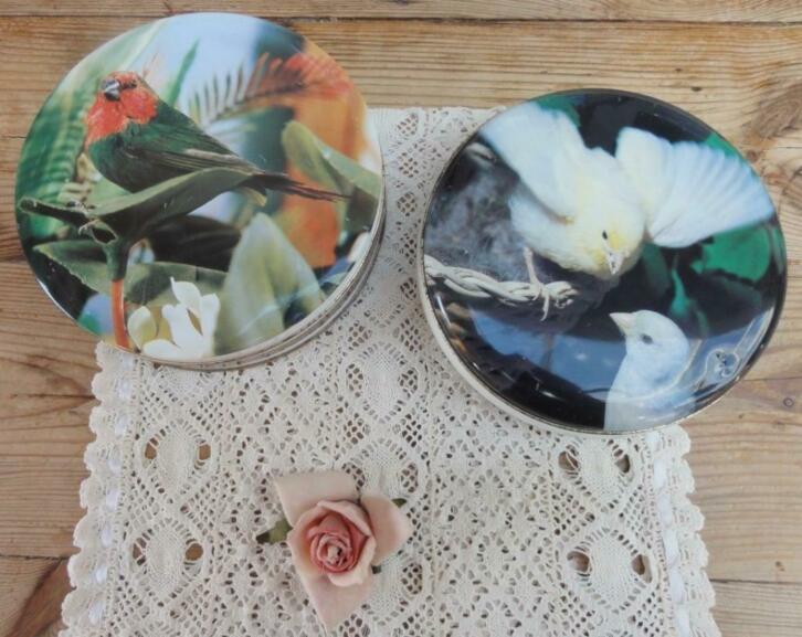 Franse vintage vogel blikken papagaai vink , vink , kanarie, Collections, Collections Animaux, Utilisé, Autres types, Oiseaux