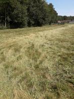 Pension chevaux en prairie, Dieren en Toebehoren, Weidegang, 4 paarden of pony's of meer