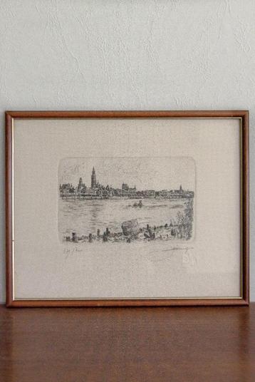 Ets Antwerpen - Dries van den Broeck beschikbaar voor biedingen
