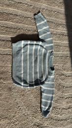 Sweater C&A maatje 80, Kinderen en Baby's, Babykleding | Maat 80, C&A, Truitje of Vestje, Ophalen of Verzenden, Zo goed als nieuw