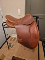 Bruno delgrange / butet / cwd/ 16.5/17/17.5 /18 inch, Animaux & Accessoires, Enlèvement ou Envoi, Dressage