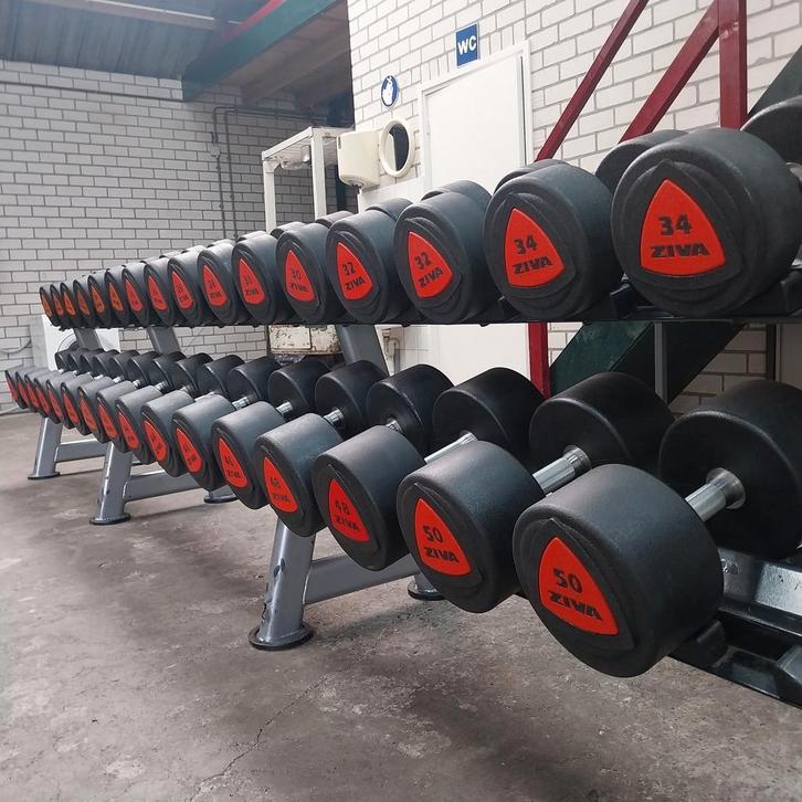 Ziva Pu Urethane  Dumbells Set 20 kilo tot 50 kilo, Sport en Fitness, Fitnessmaterialen, Zo goed als nieuw, Ophalen