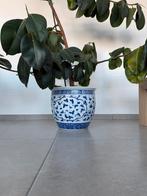Chinese bloempot, Tuin en Terras, Ophalen, Zo goed als nieuw