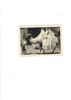 Chocolat Jacques, Ophalen of Verzenden, Gebruikt