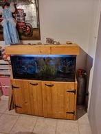 Aquarium 180L, Enlèvement