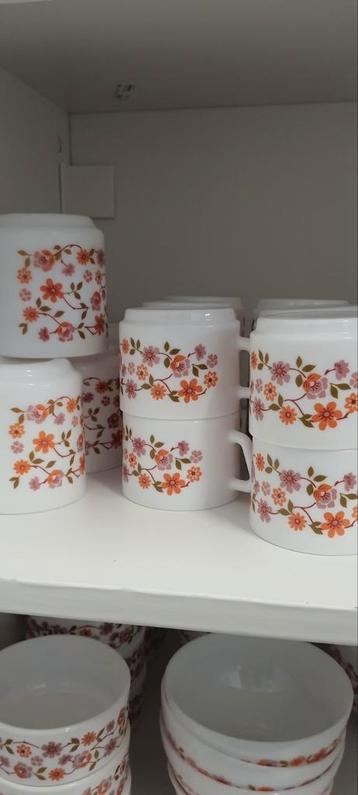 Arcopal Scania, Enlèvement, Comme neuf, Assiettes(s)