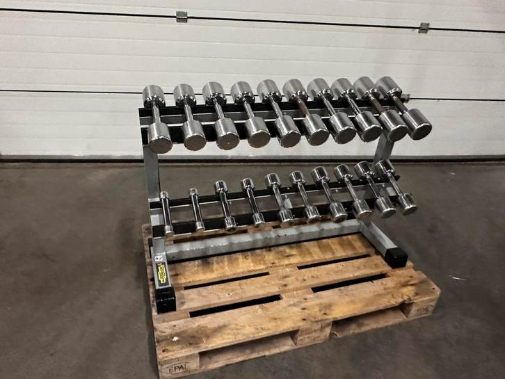 Technogym  Dumbells 1kg t/m 10kg + Technogym Opbergrek, Sport en Fitness, Fitnessmaterialen, Zo goed als nieuw, Ophalen